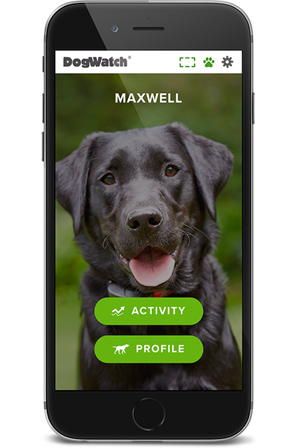 DogWatch of Central Oregon, Bend, Oregon | SmartFence WebApp Image