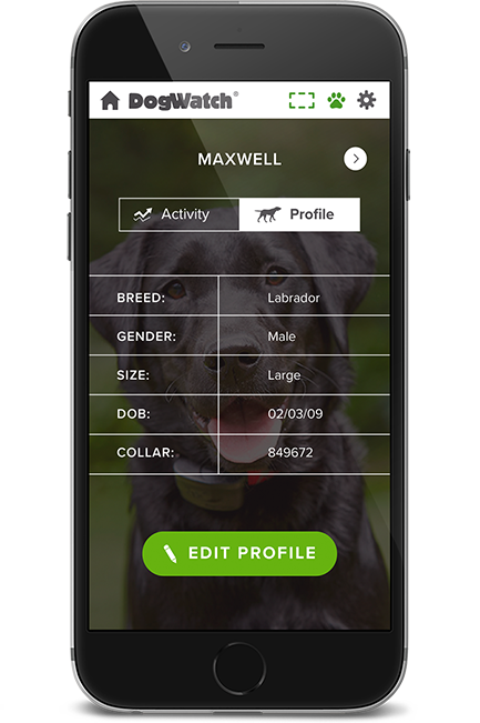 DogWatch of Central Oregon, Bend, Oregon | SmartFence WebApp Image