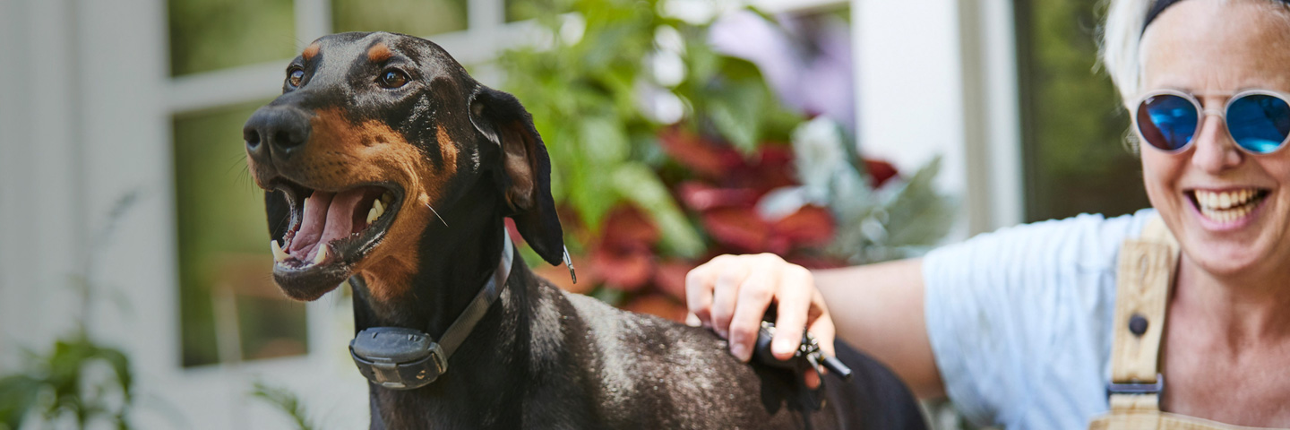 DogWatch of Central Oregon, Bend, Oregon | Remote Dog Training Collars Slider Image